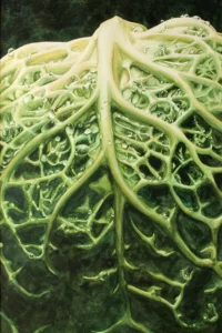 Convoluted by Pamela Kraft