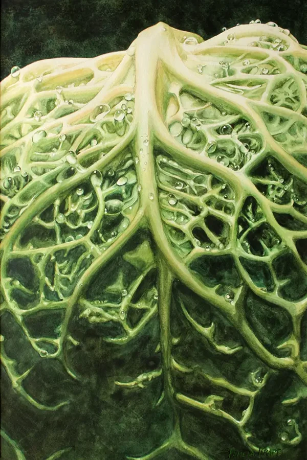 Convoluted by Pamela Kraft